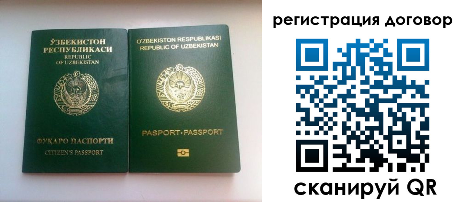прописка в Вольске