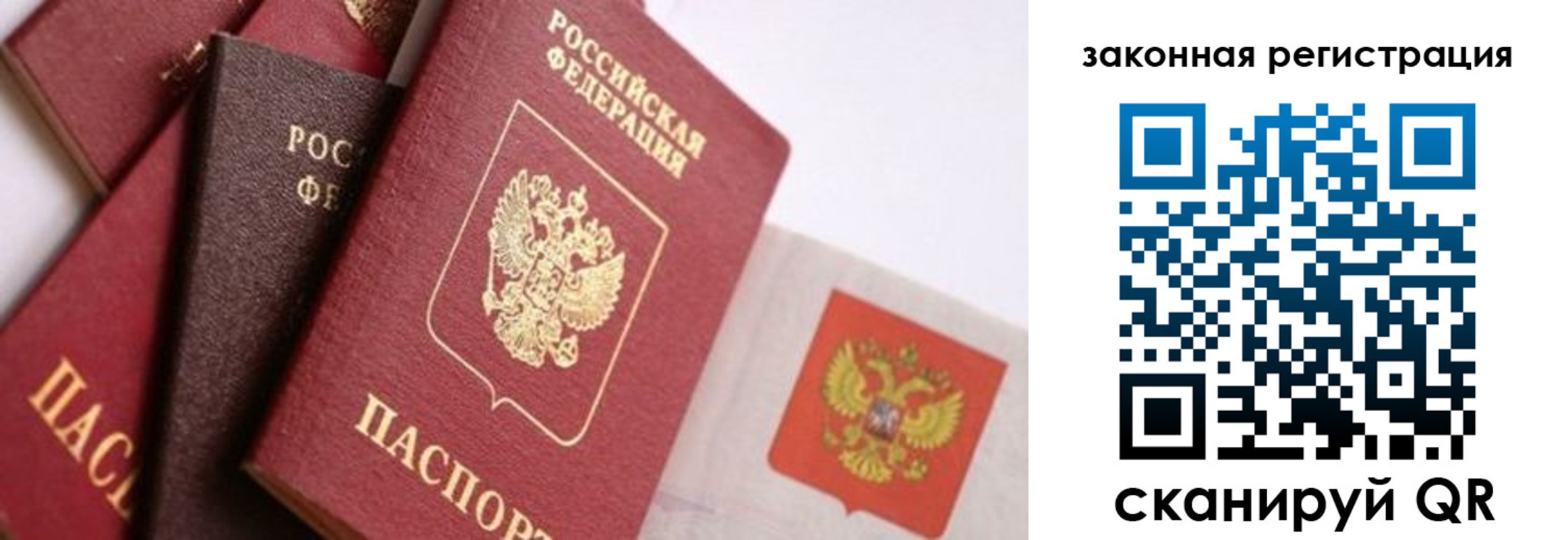 прописка штамп в Вольске